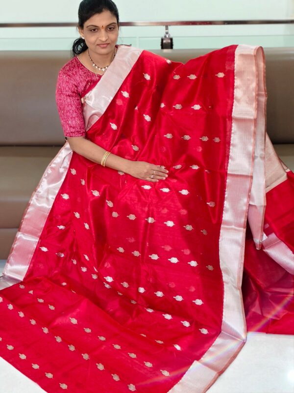 Chanderi Pattu saree