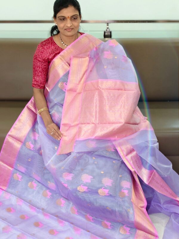 Chanderi Pattu saree - Kanchipuram Sarees by Shreekari Silks