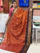 Light Weight Handloom Kanchi Pattu saree